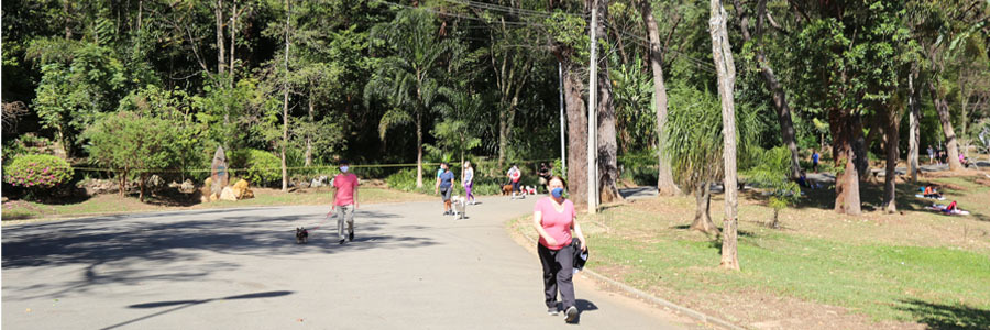 Pessoas caminham de máscaras no Parque Aclimação cercado de árvores verdes grandes